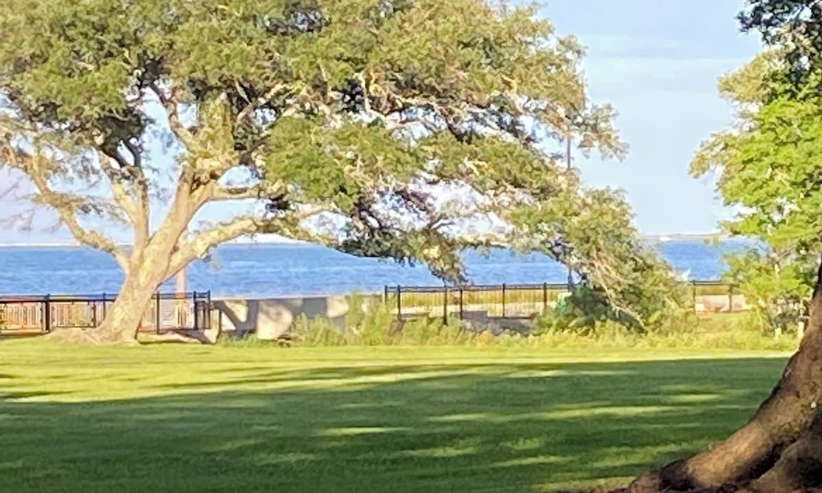 Photo of Others in Pascagoula