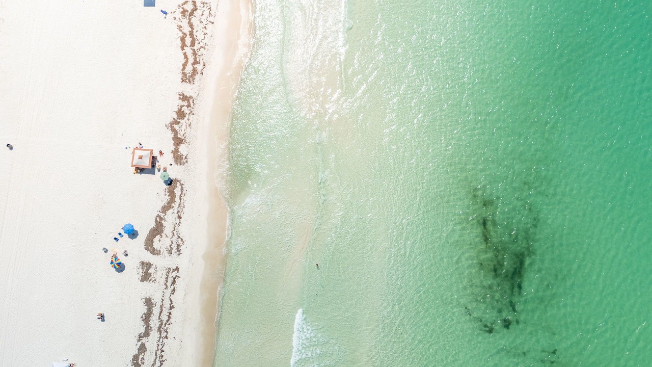 Photo of Others in Kiska Beach