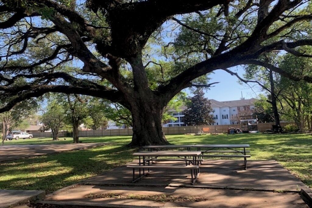 Photo of Outdoor in Freetown - Port Rico
