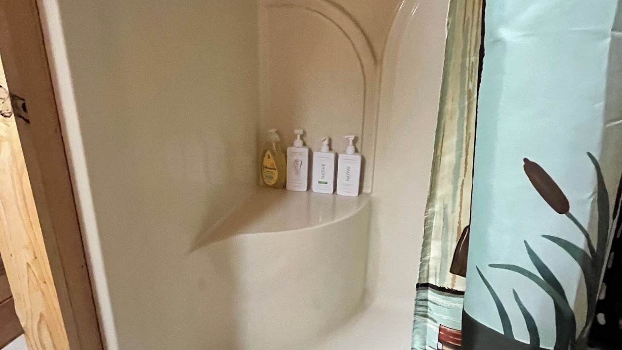 Photo of Bathroom in Bronson