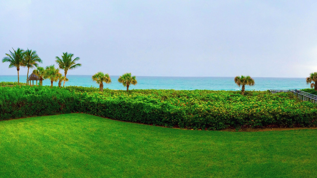 Photo of Outdoor in Juno Beach
