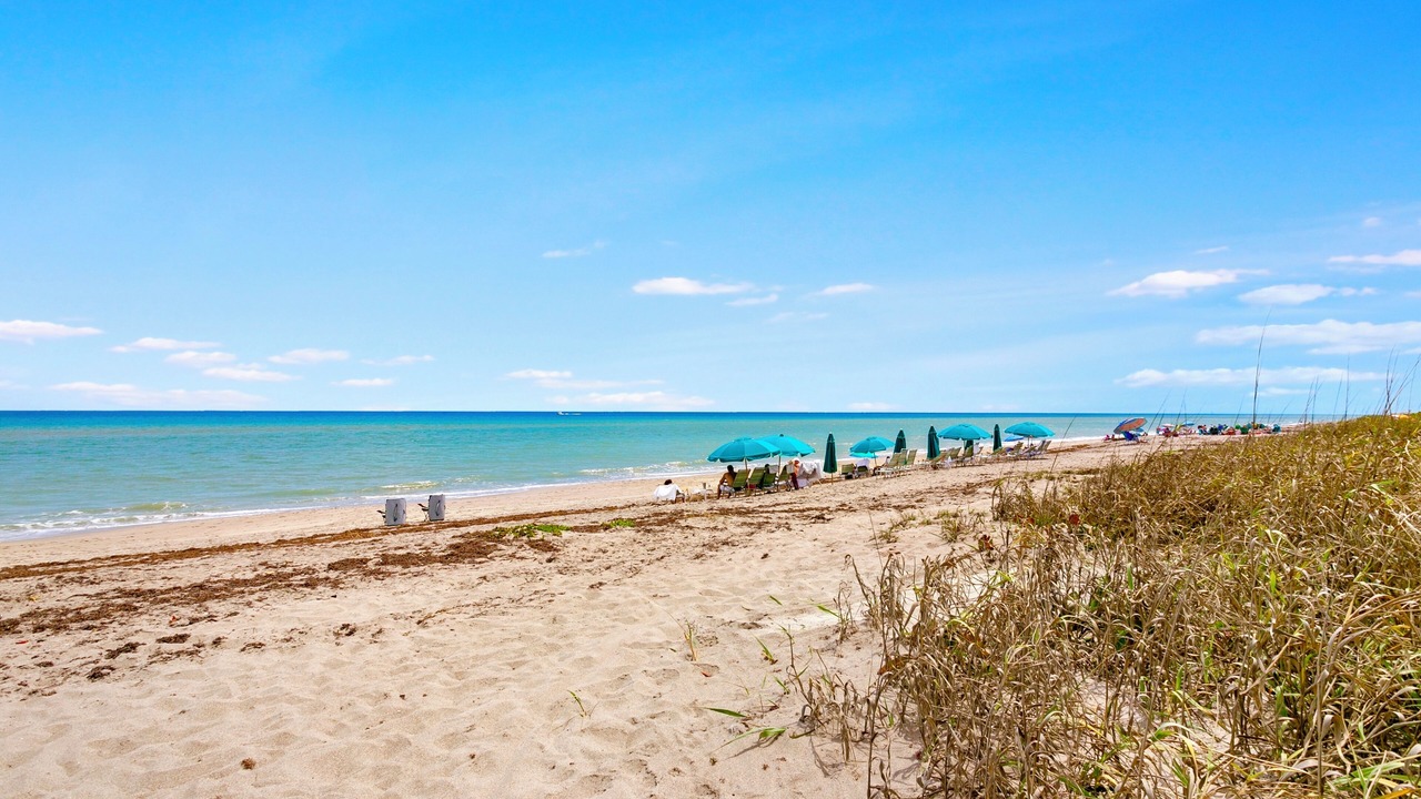 Photo of Others in Juno Beach