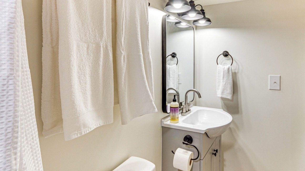 Photo of Bathroom in Tougaloo