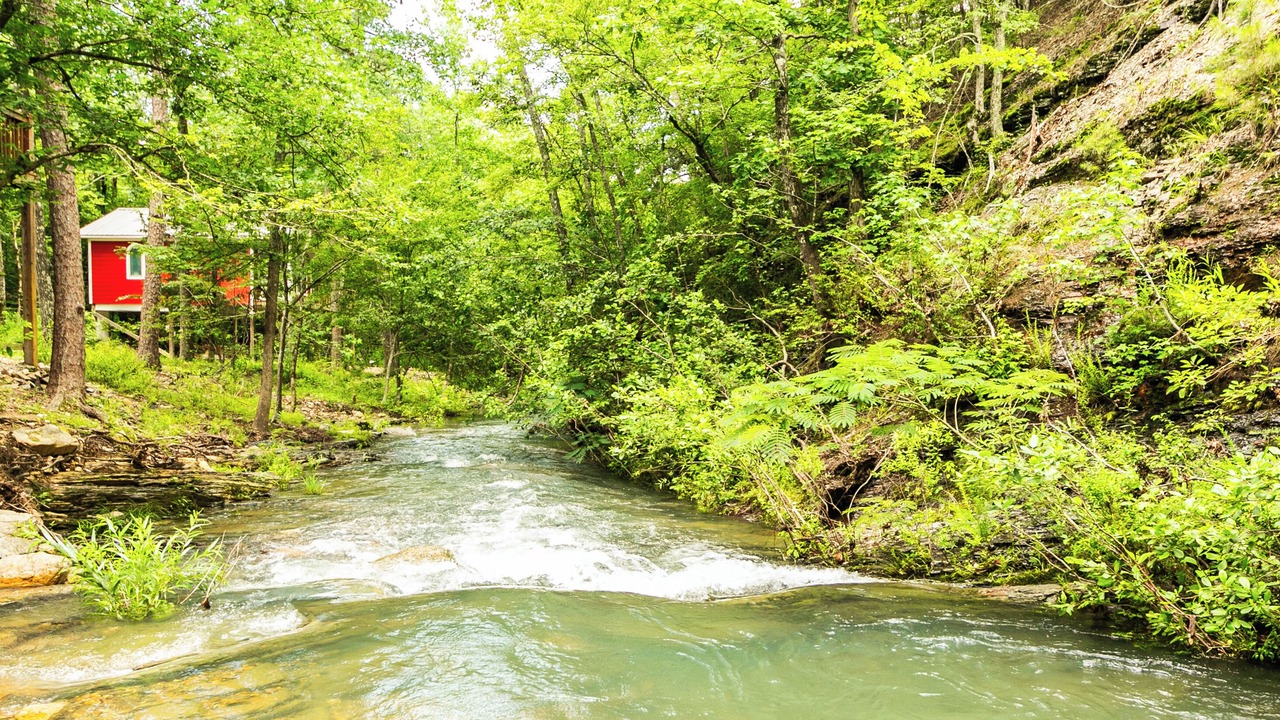 Photo of Others in Jones Mills