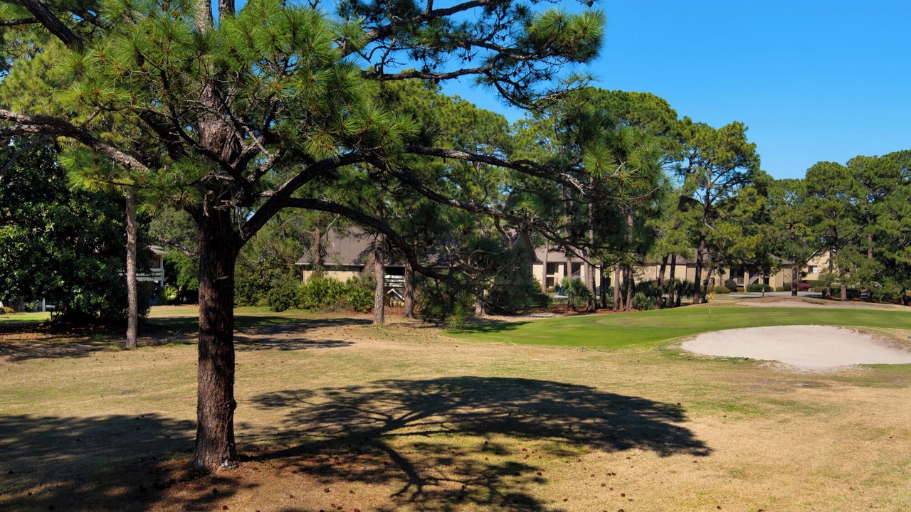 Photo of Outdoor in Frangista Beach