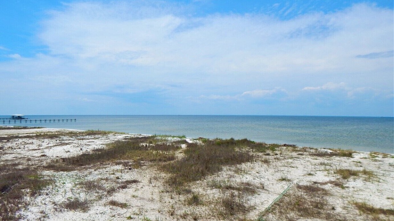 Photo of Others in Silver Cay