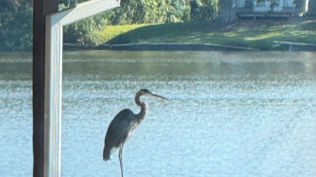 Photo of Others in Flowood
