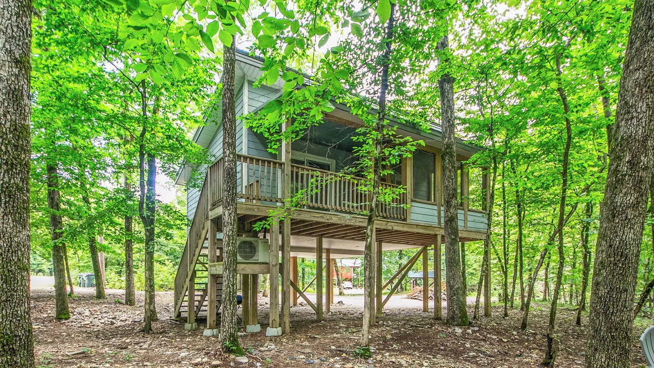 Photo of Outdoor in Jones Mills