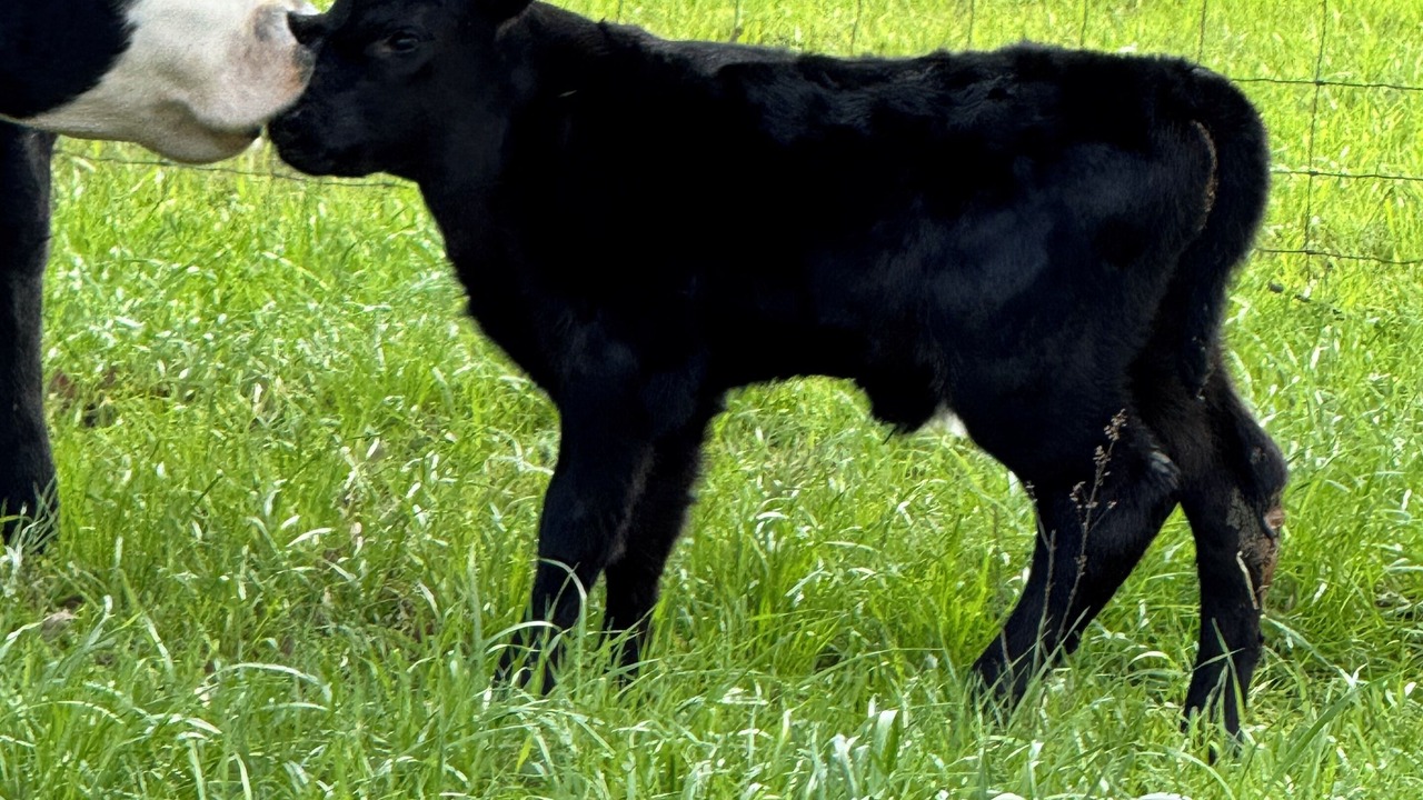 Photo of Others in Lucedale