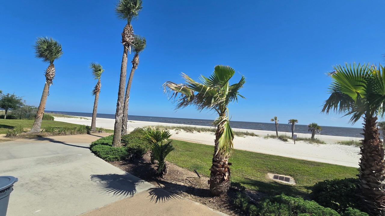 Photo of Others in Henderson Point