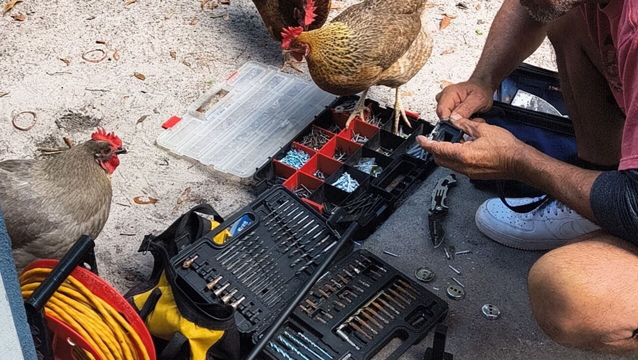 Photo of Others in Southwest Orlando