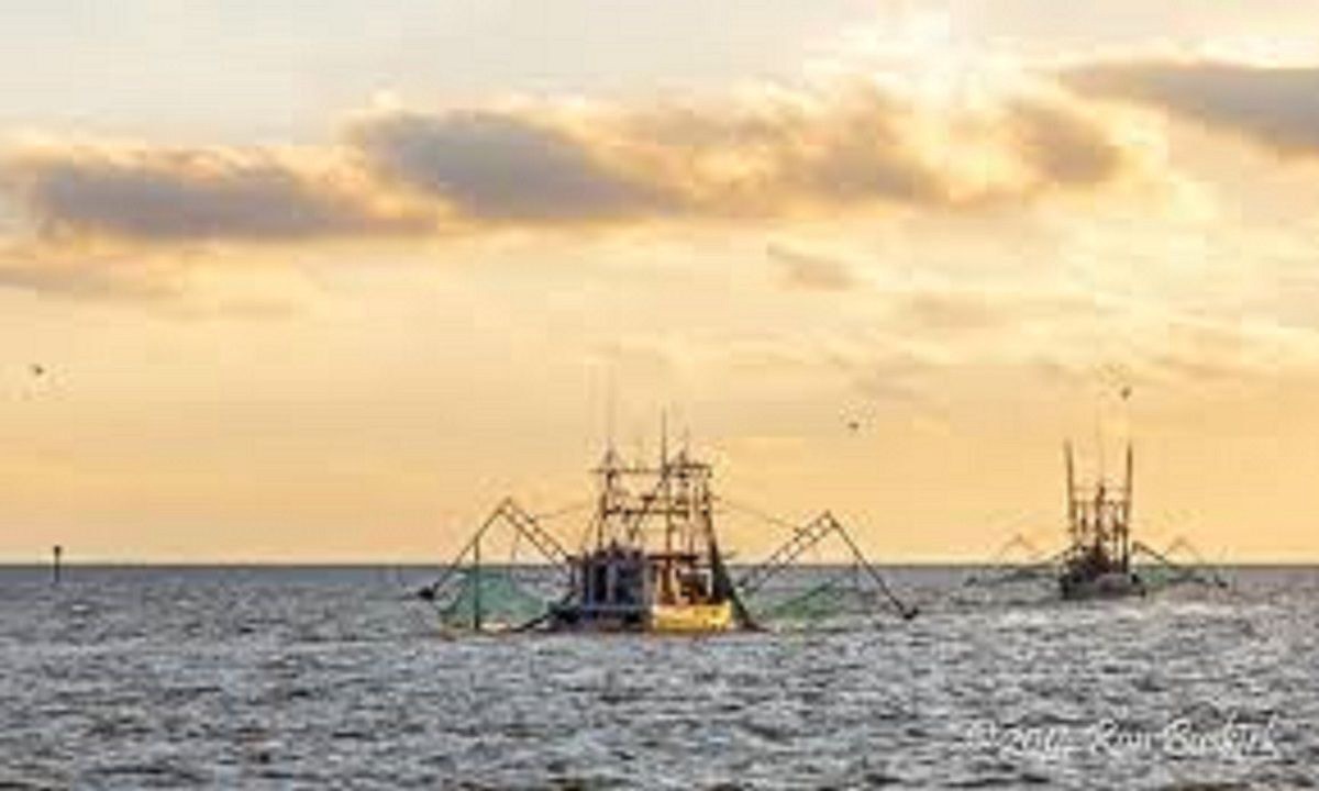 Photo of Others in Long Beach