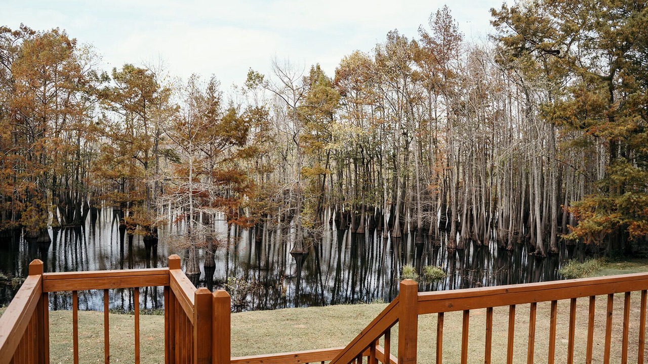 Photo of Others in West Monroe