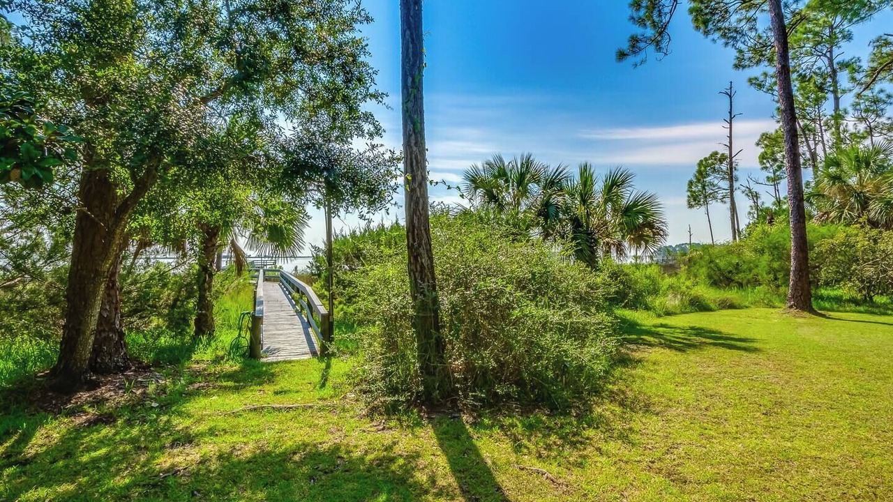 Photo of Outdoor in Panacea
