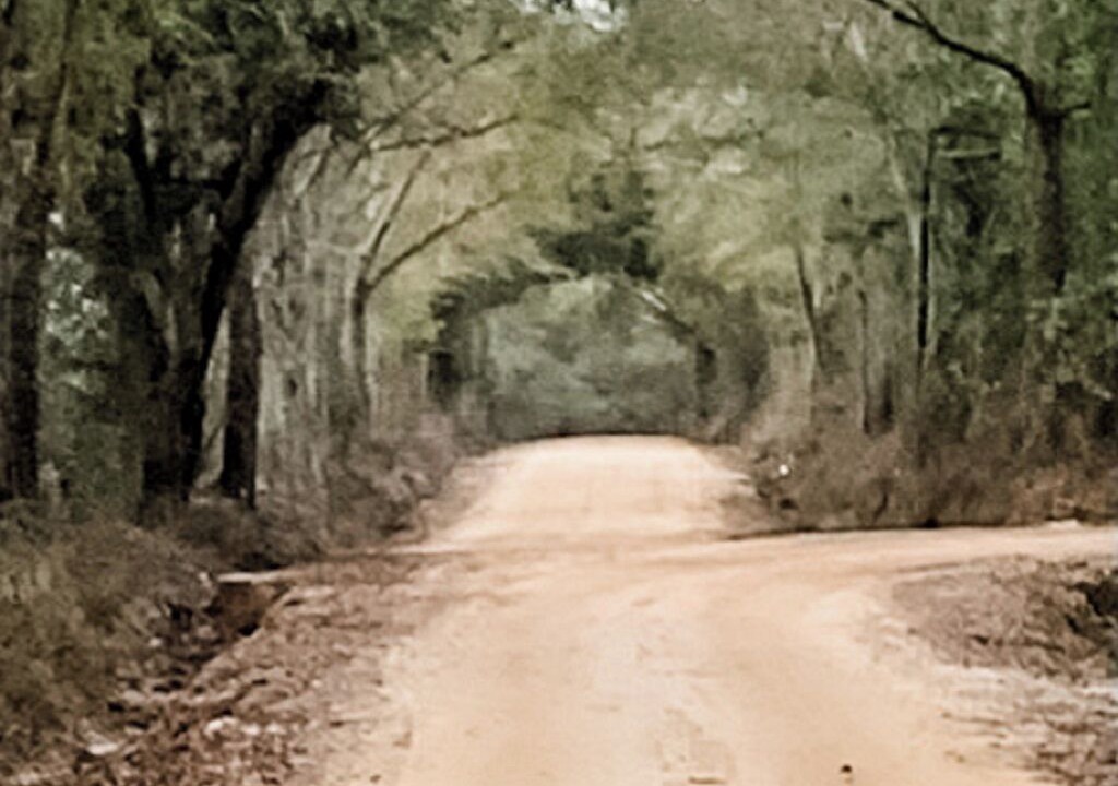 Photo of Others in Graceville