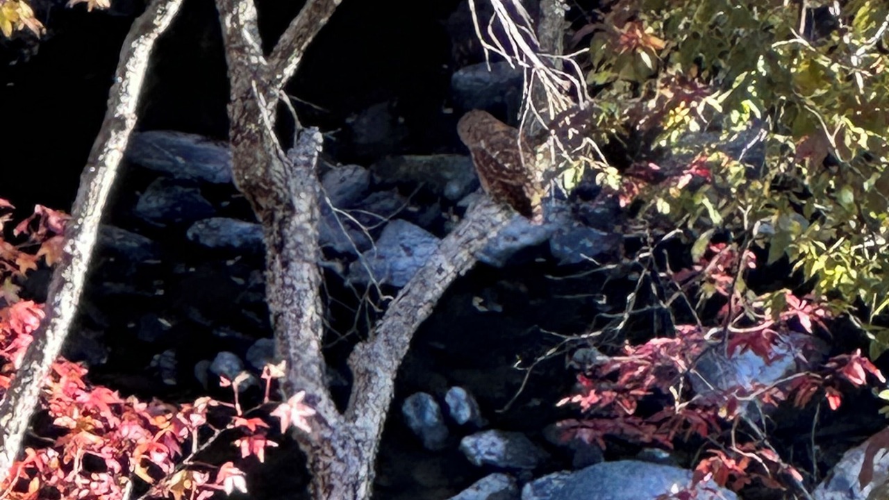 Photo of Others in Jasper