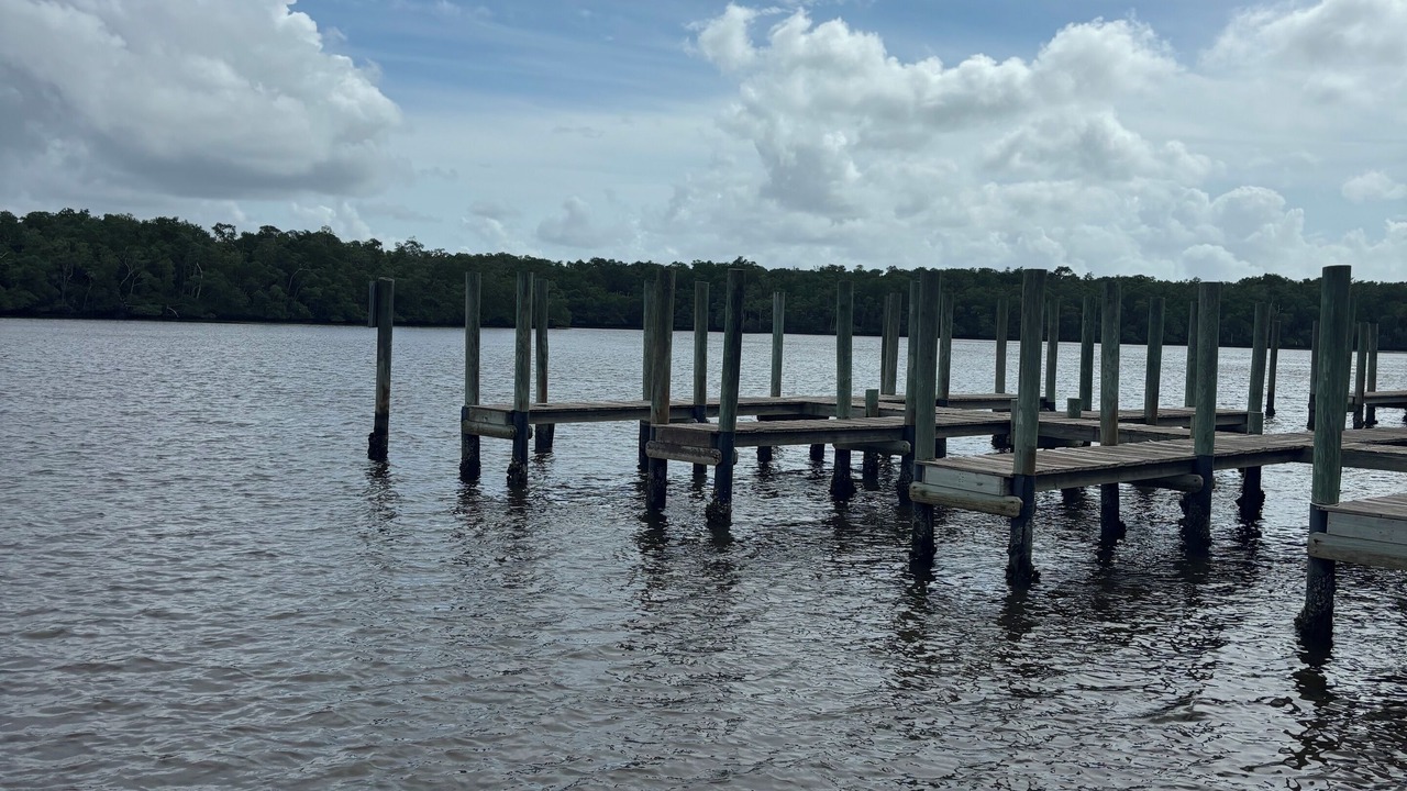 Photo of Others in Everglades City