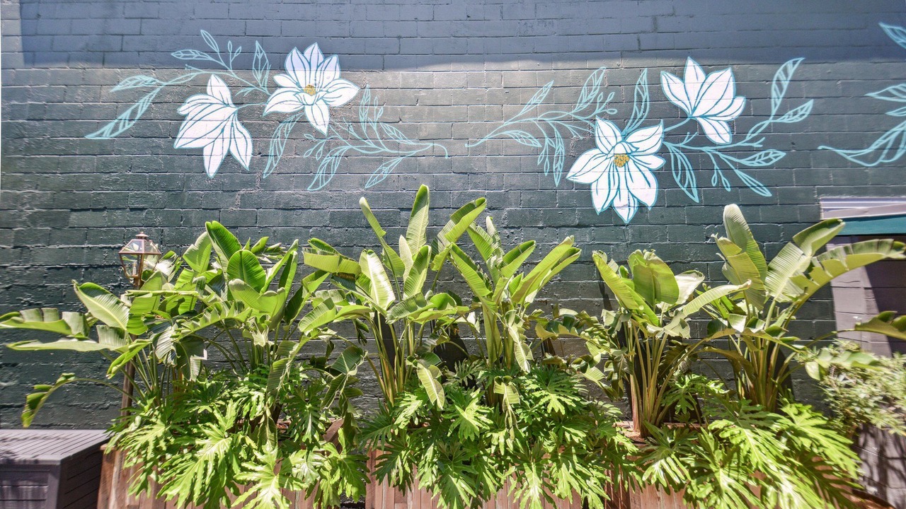 Photo of Outdoor in Faubourg Marigny