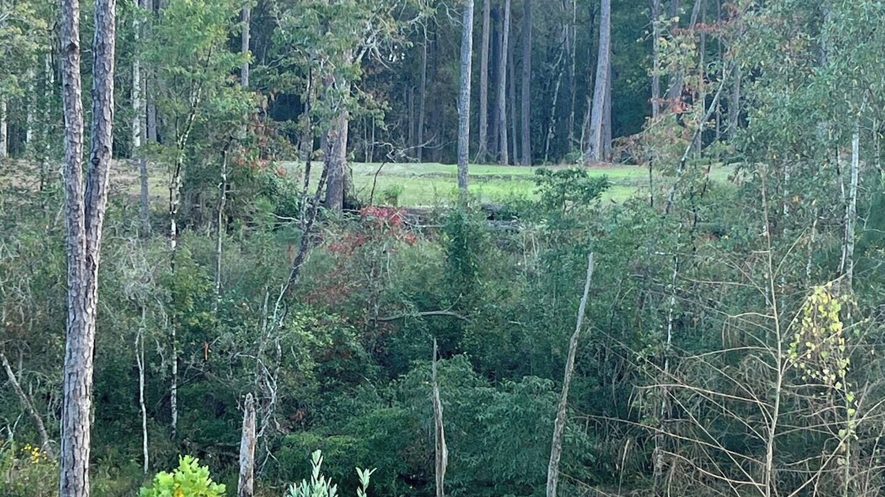 Photo of Others in Bay Minette