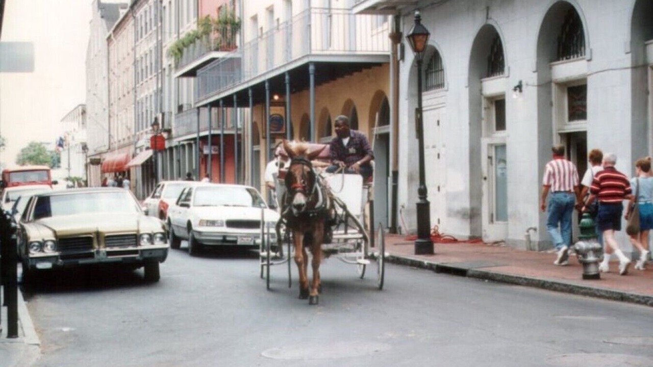 Photo of Others in Bywater