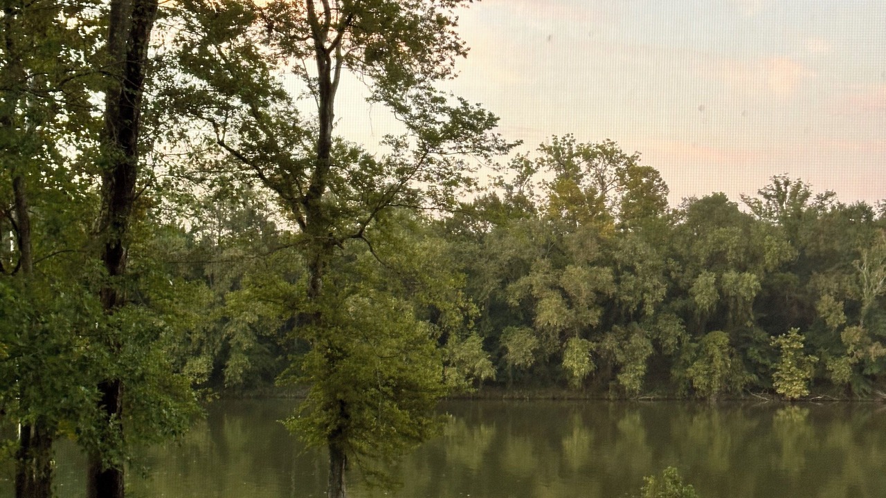 Photo of Others in Moundville