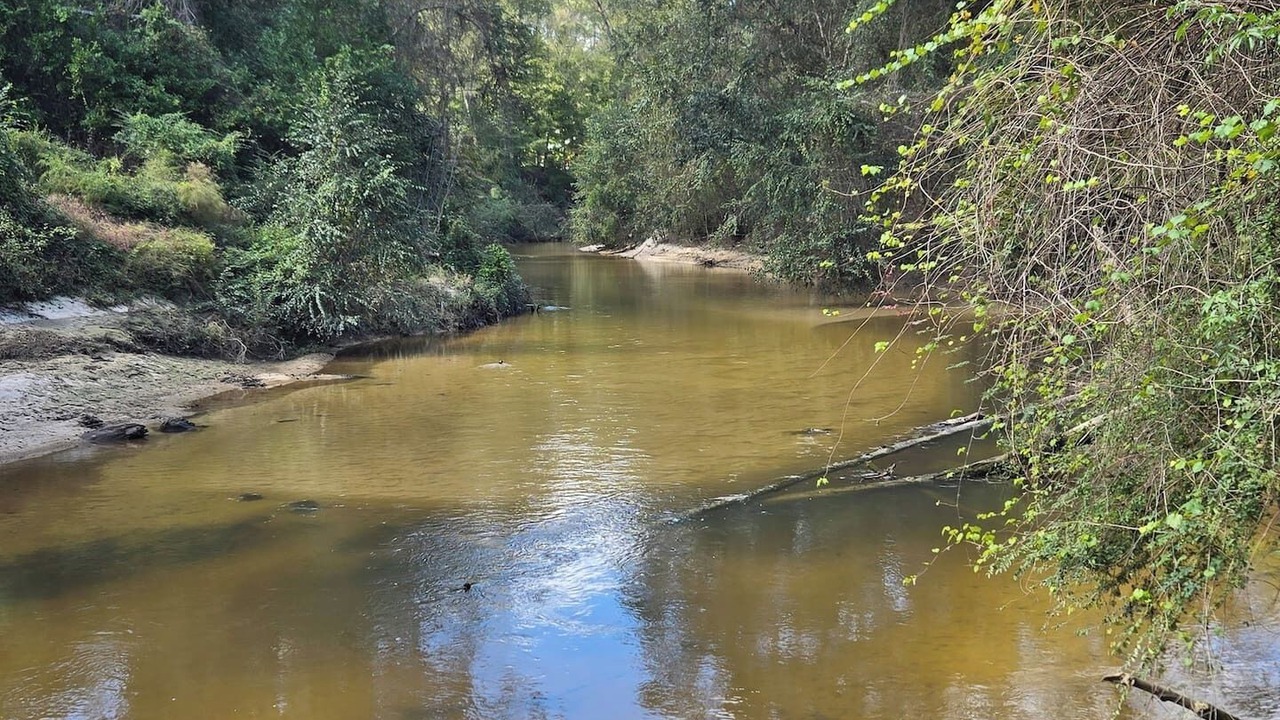 Photo of Others in Covington