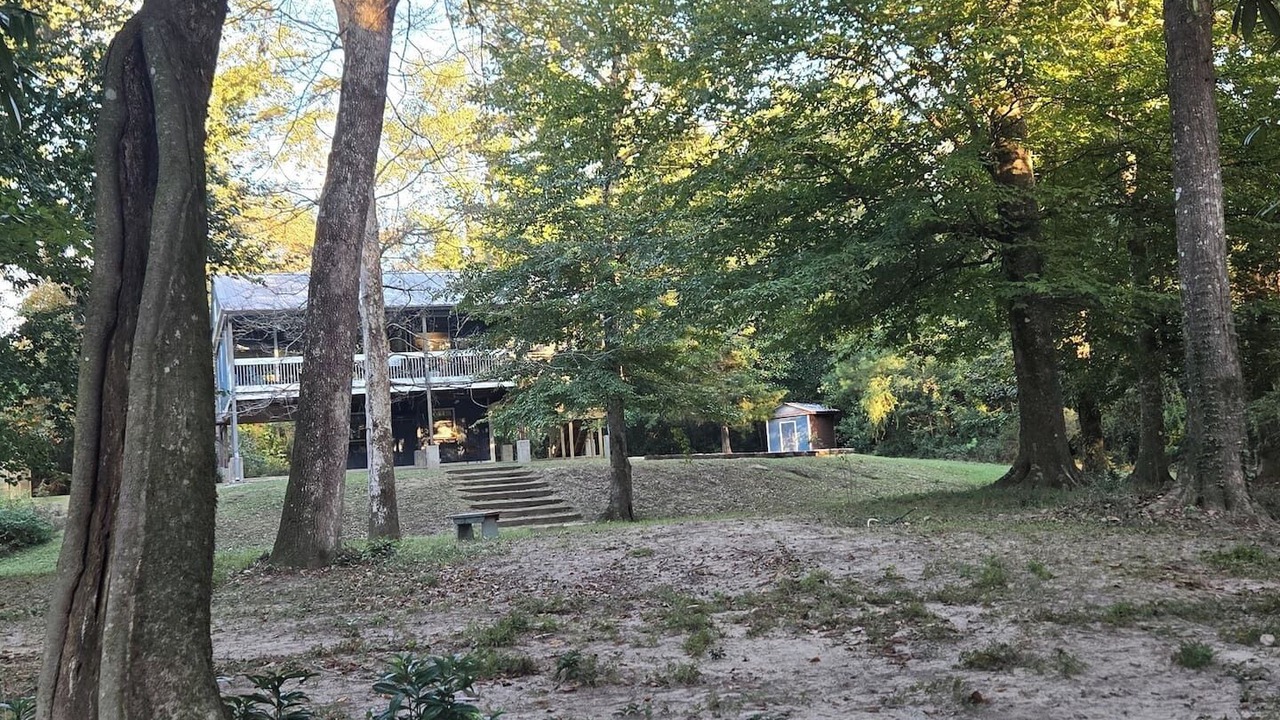 Photo of Others in Covington
