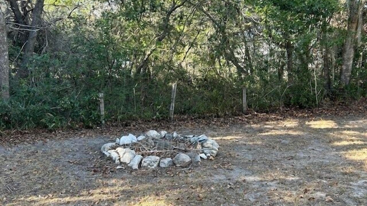 Photo of Others in Alligator Point