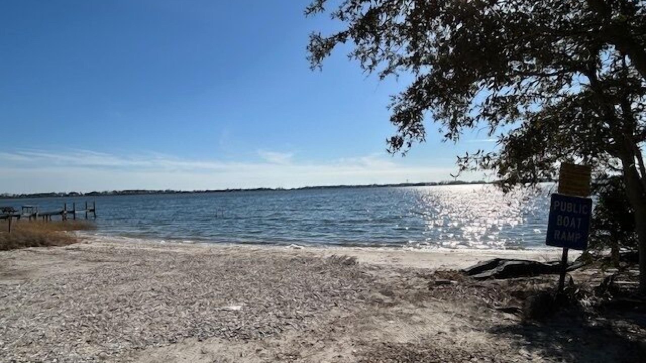 Photo of Others in Alligator Point
