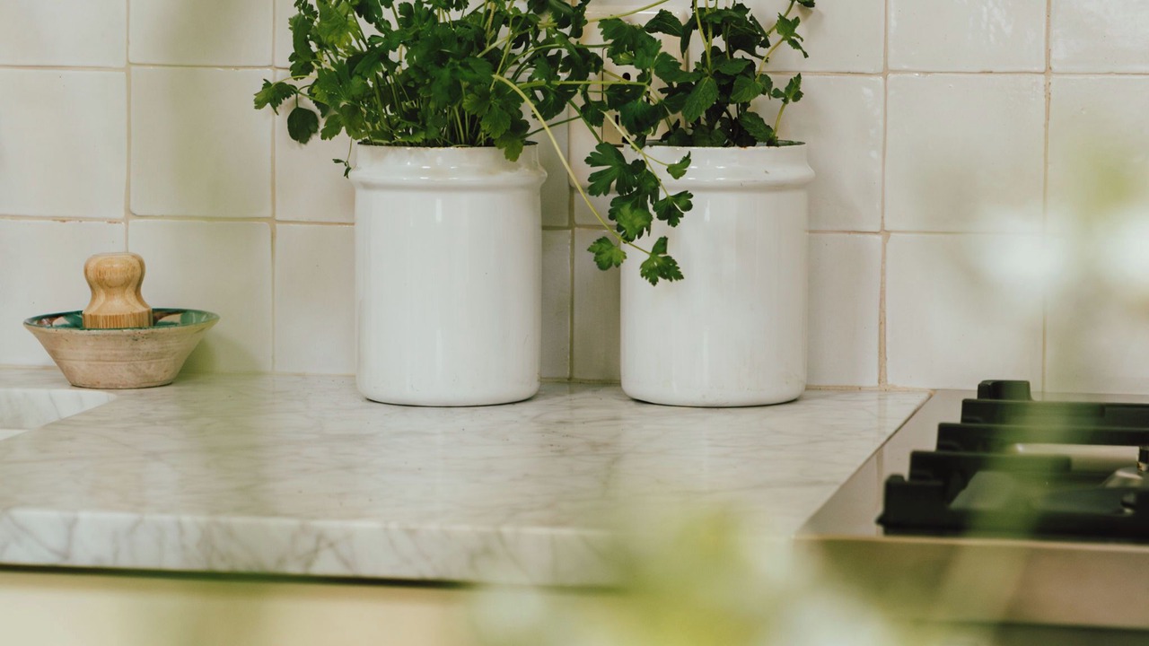 Photo of Kitchen in Bywater