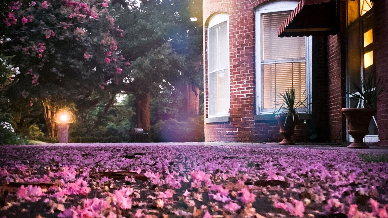 Photo of Outdoor in Monroe