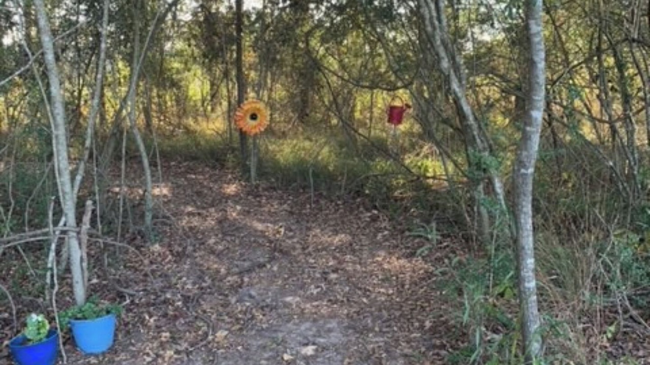 Photo of Outdoor in Brantley
