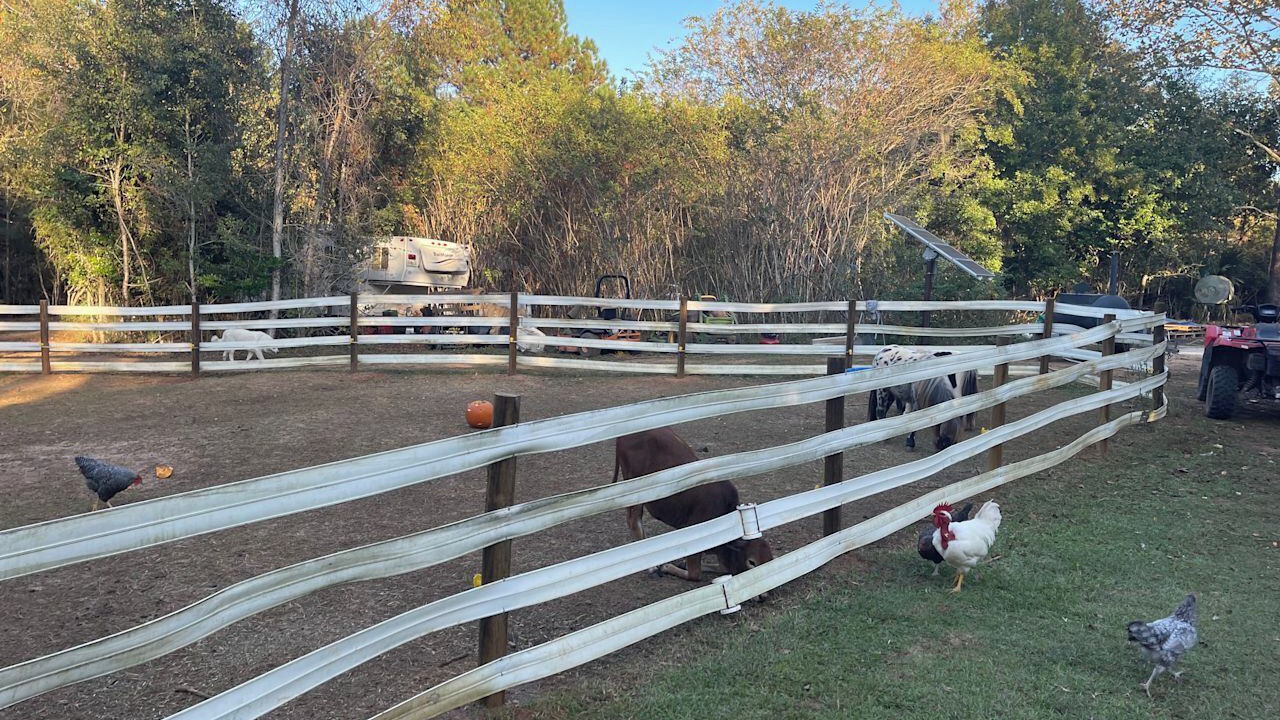Photo of Others in Tallahassee