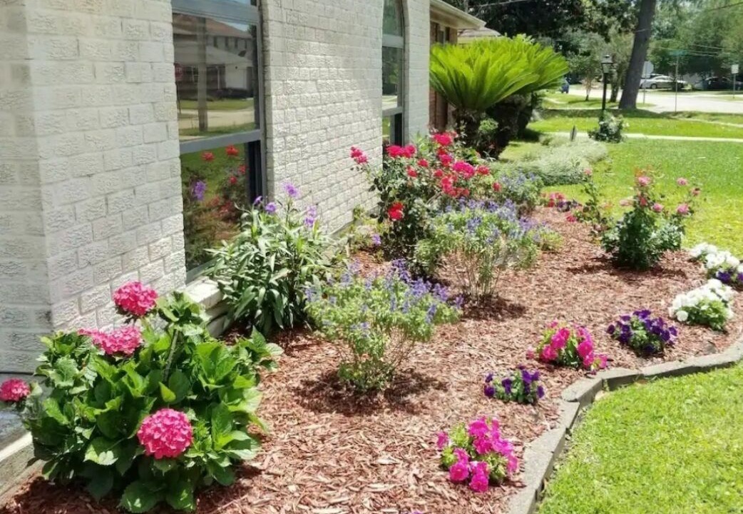 Photo of Outdoor in Metairie