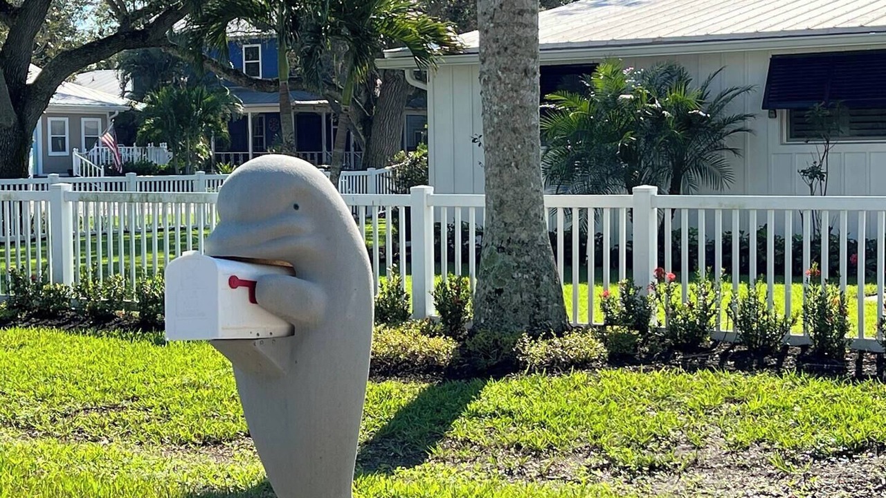 Photo of Outdoor in East Naples