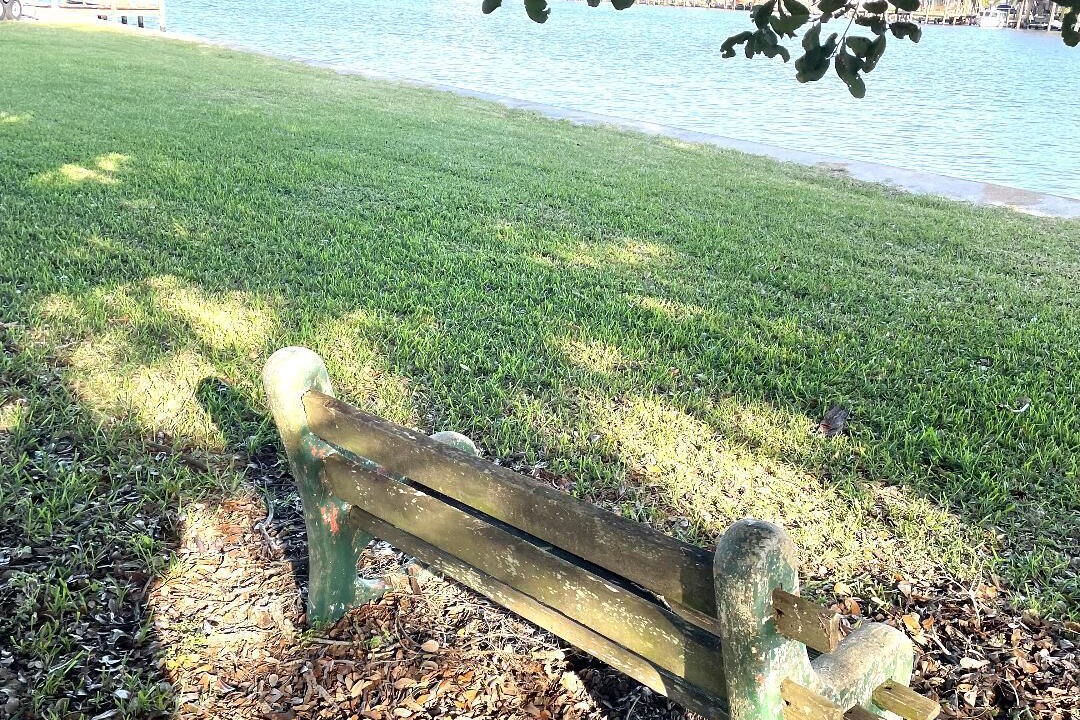 Photo of Outdoor in Barataria