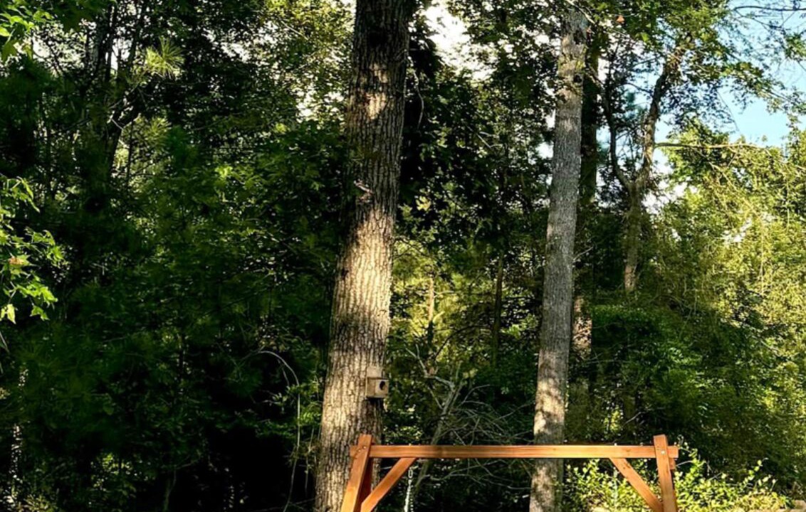 Photo of Outdoor in Hemphill