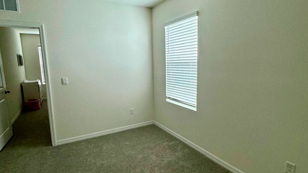 Photo of Others in Wesley Chapel