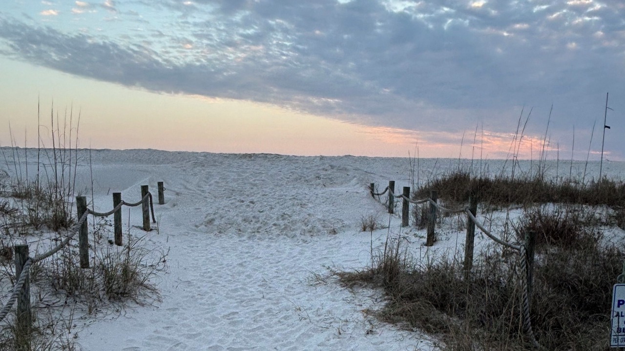 Photo of Others in Mexico Beach