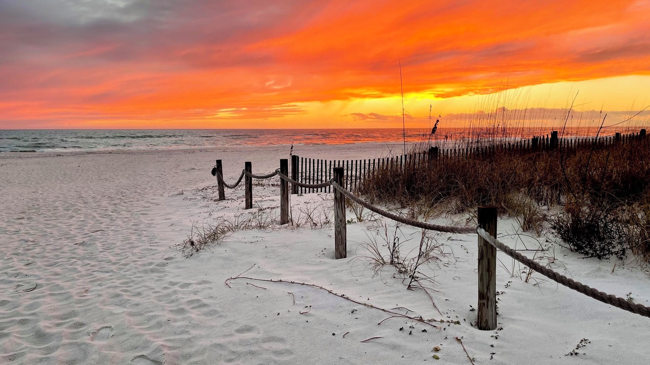 Photo of Others in Mexico Beach