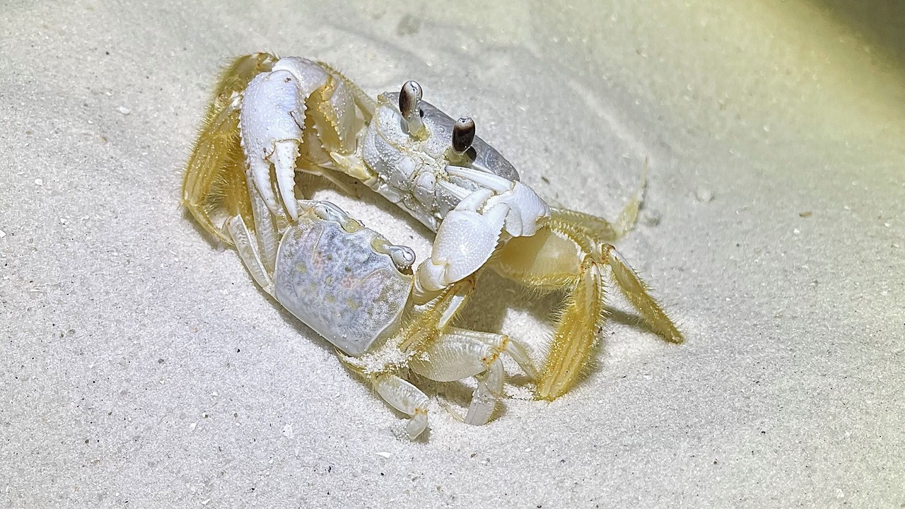 Photo of Others in Mexico Beach