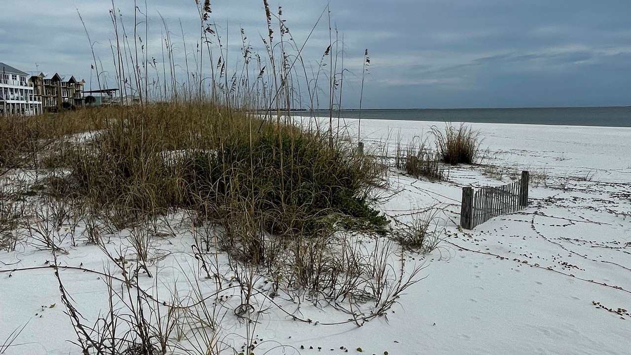 Photo of Others in Mexico Beach