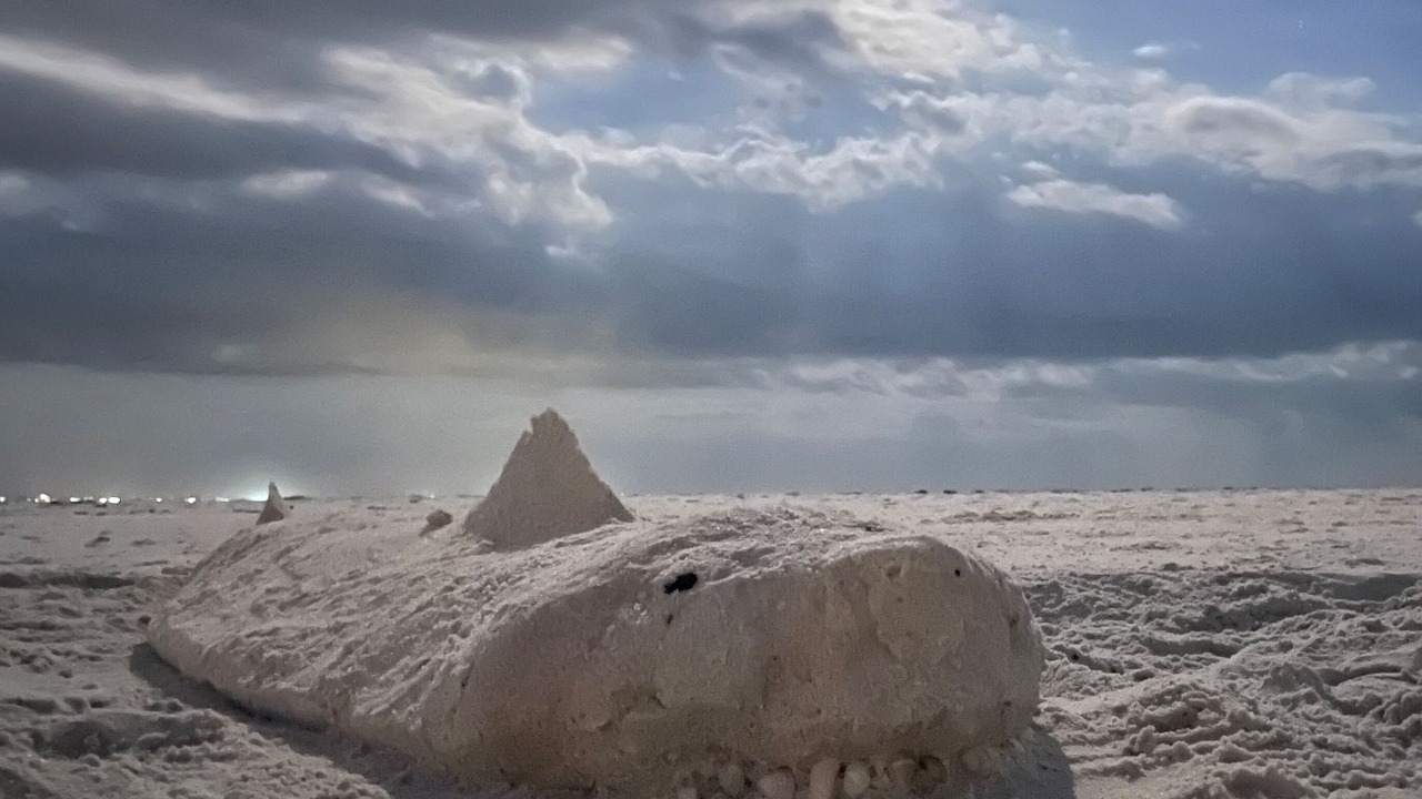 Photo of Others in Mexico Beach