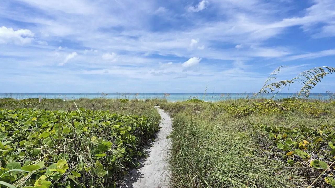 Photo of Others in Whitney Beach