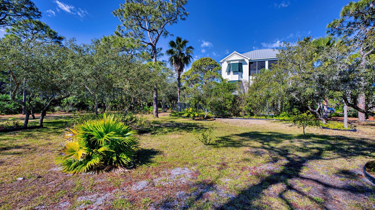 Photo of Outdoor in Plantation
