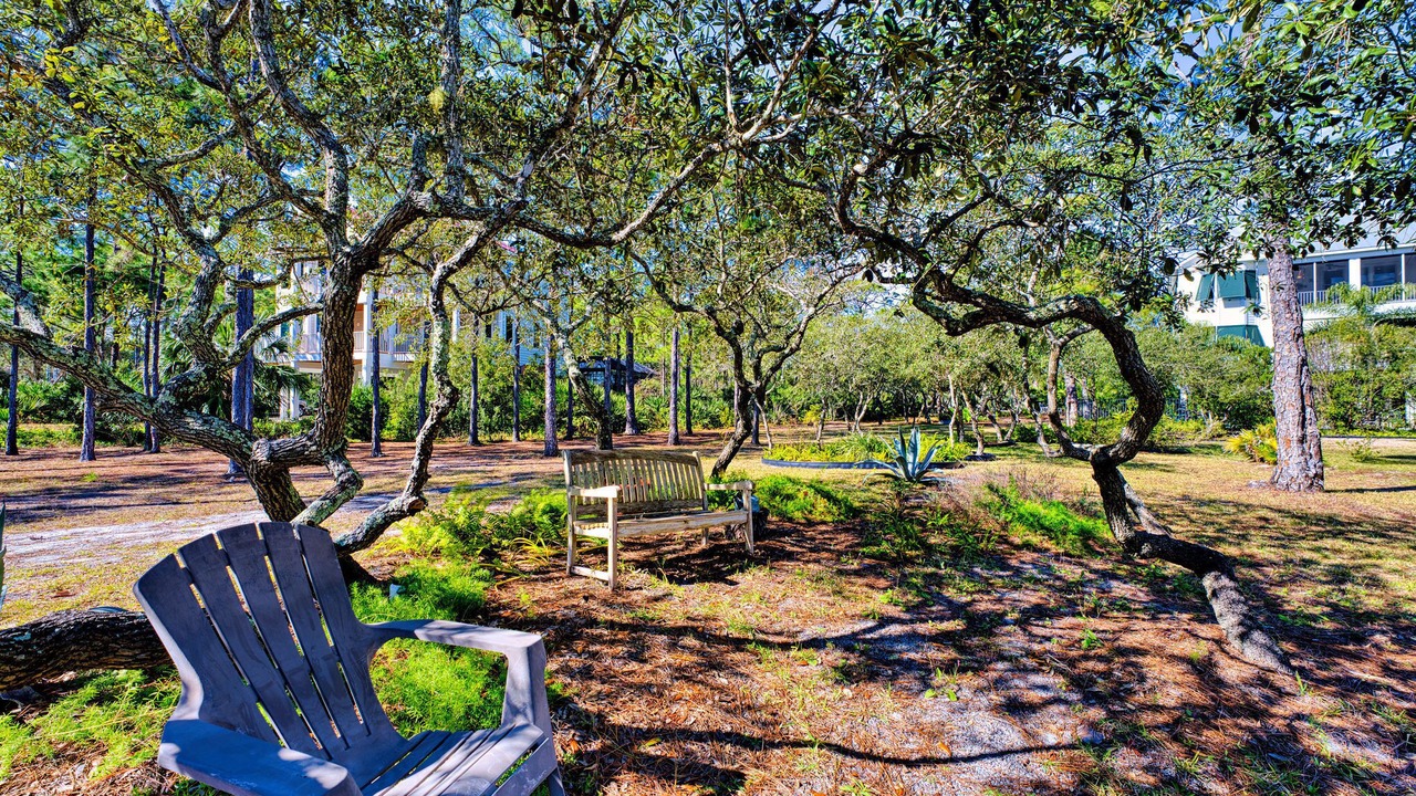 Photo of Outdoor in Plantation