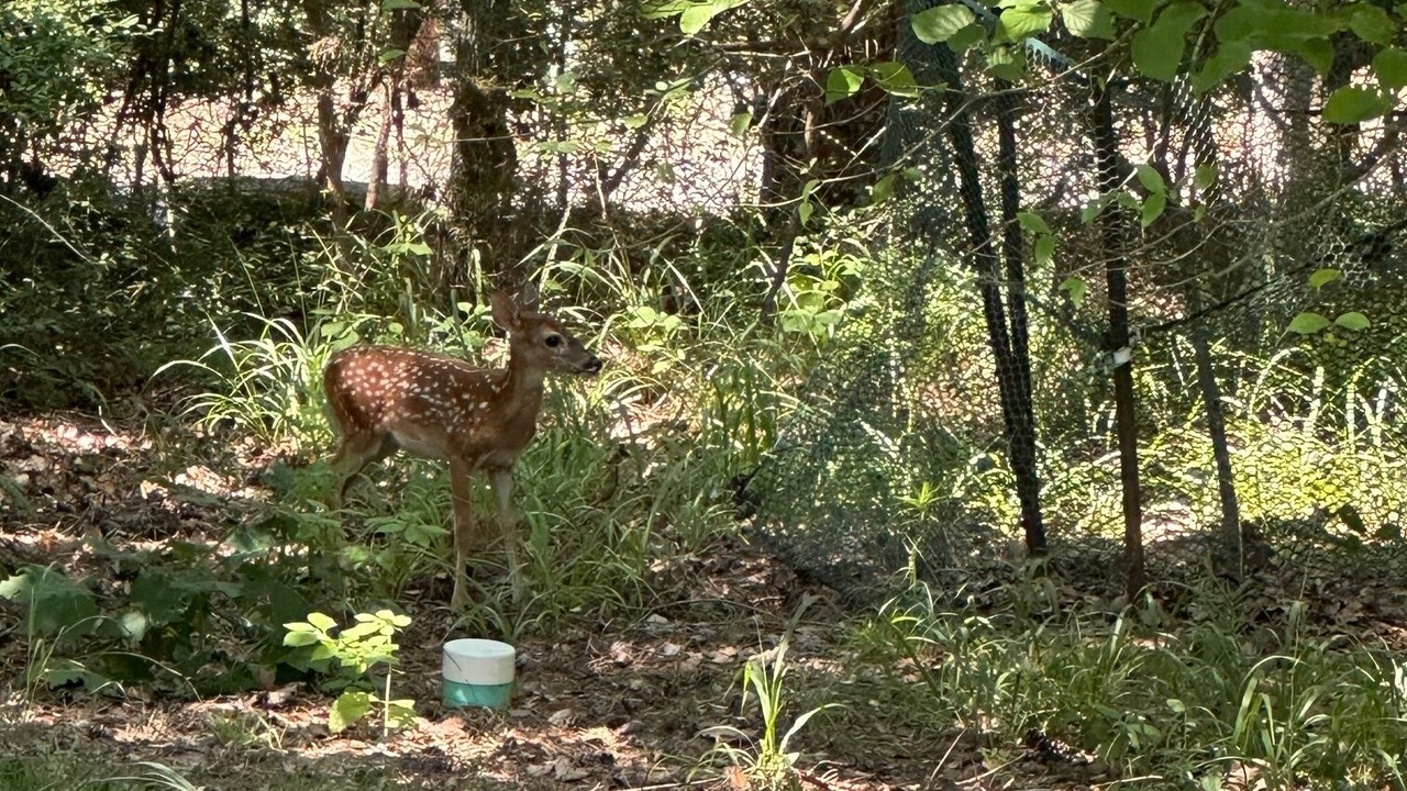 Photo of Others in Holly Lake Ranch