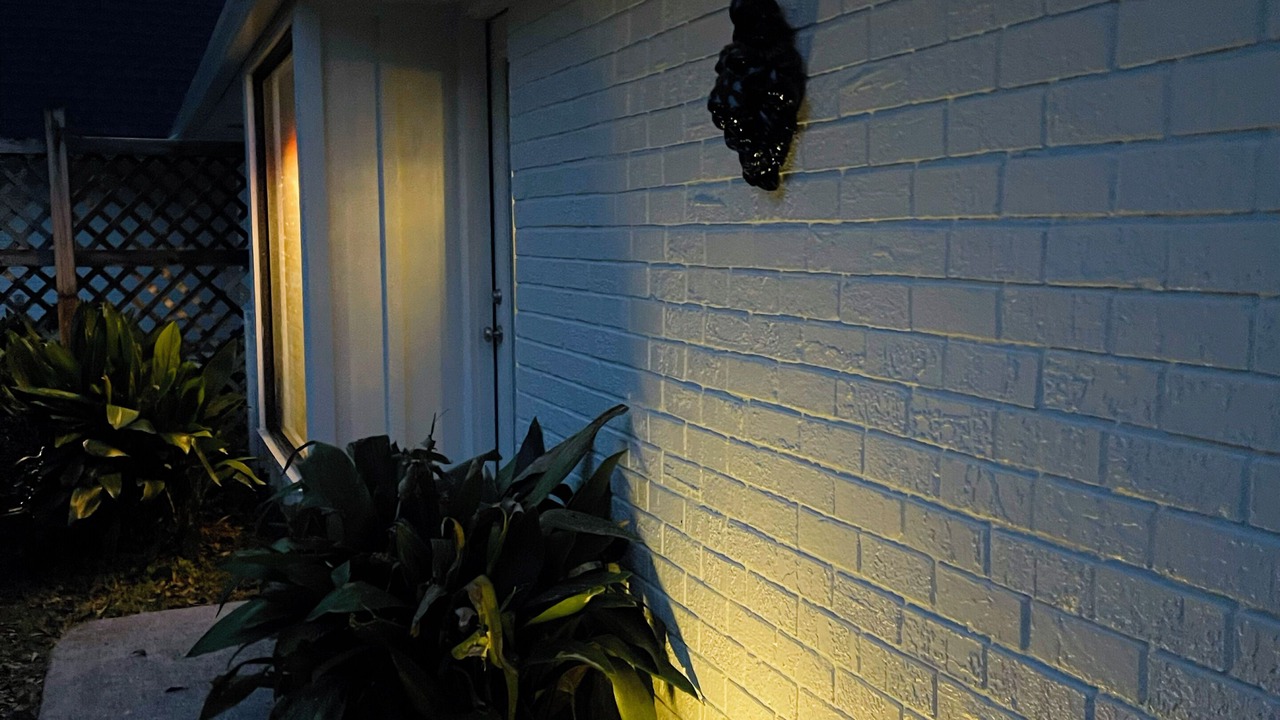 Photo of Outdoor in Covington