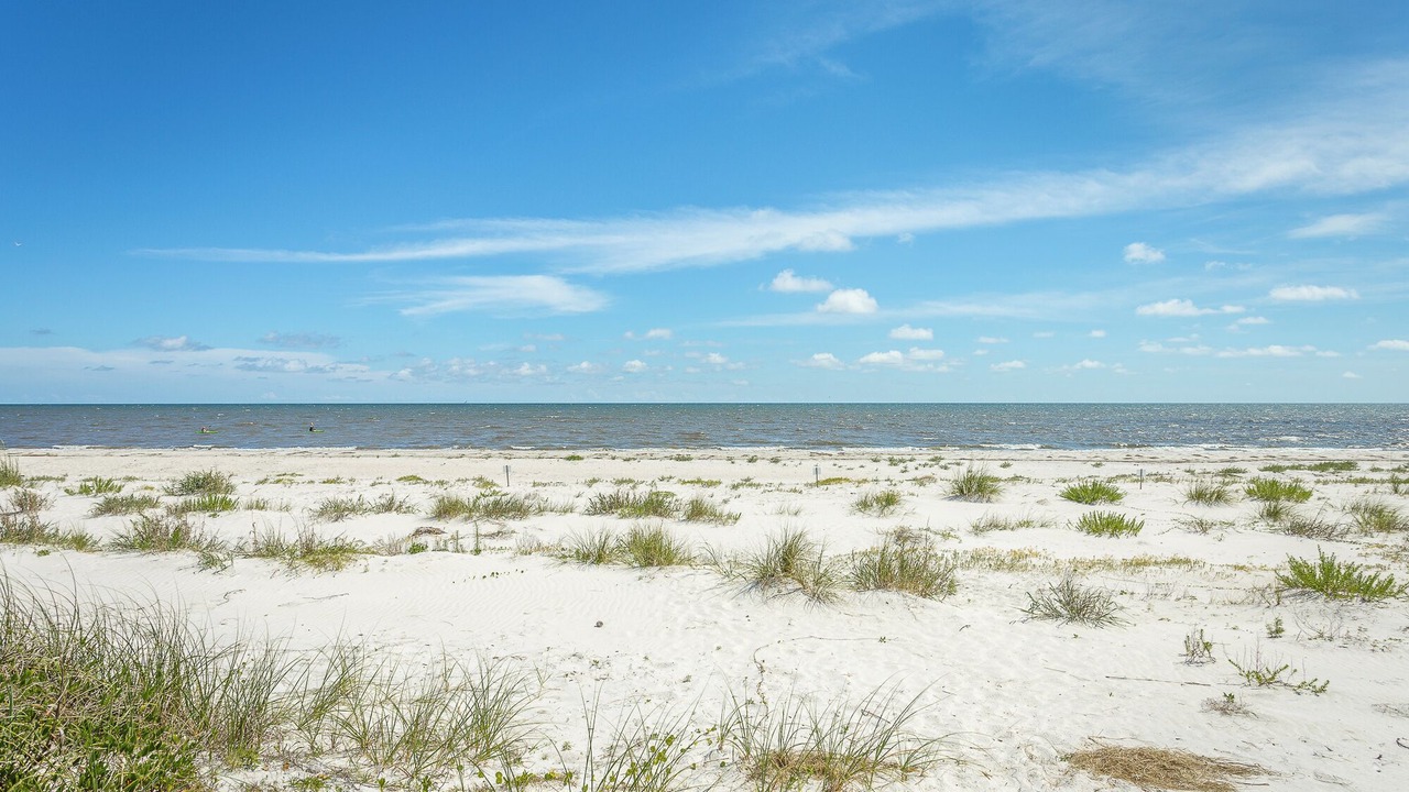 Photo of Others in Alligator Point