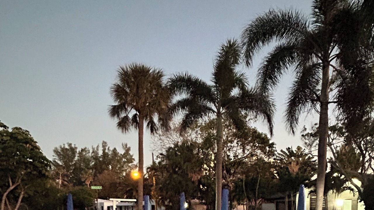 Photo of Outdoor in Pompano Beach